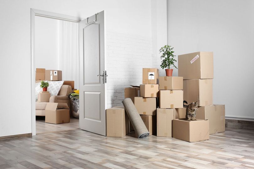 Why hiring a moving company should be your priority while relocating?